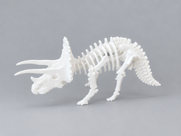 Producto - Rompecabezas de Dinosaurios - 7