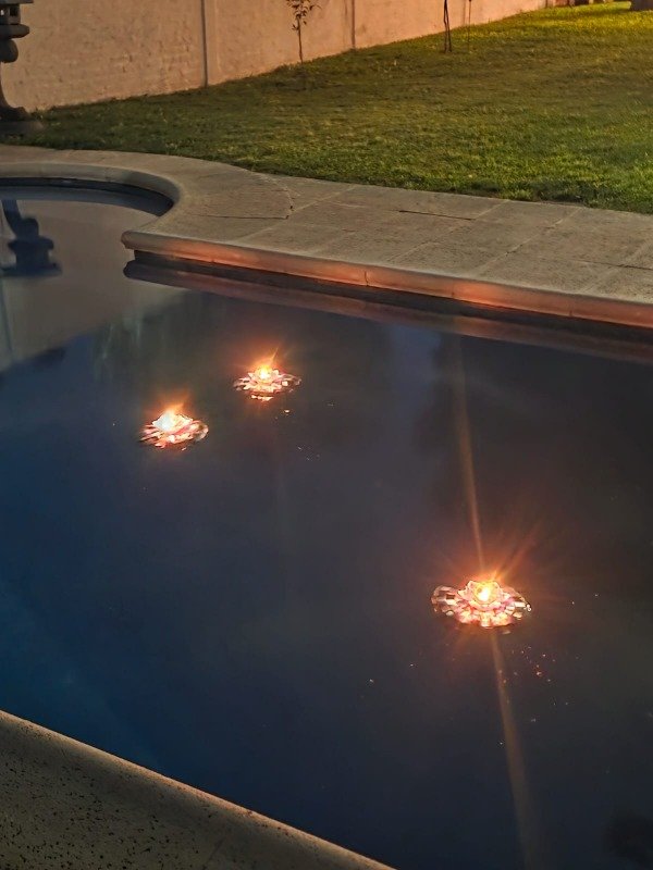 Producto - Nenúfares Flotantes (pack de tres unidades)