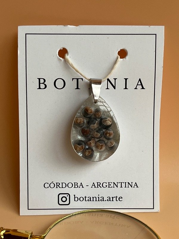 Producto - Semilla 5