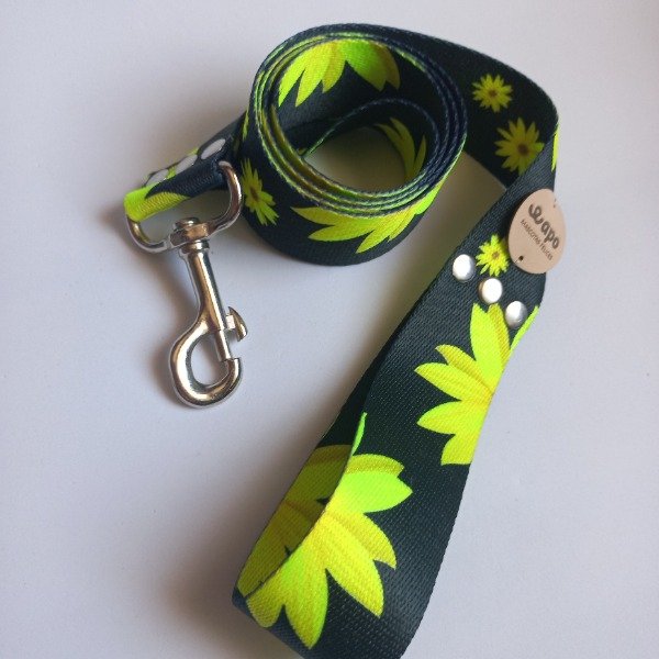 Producto - Correa MARGARITA