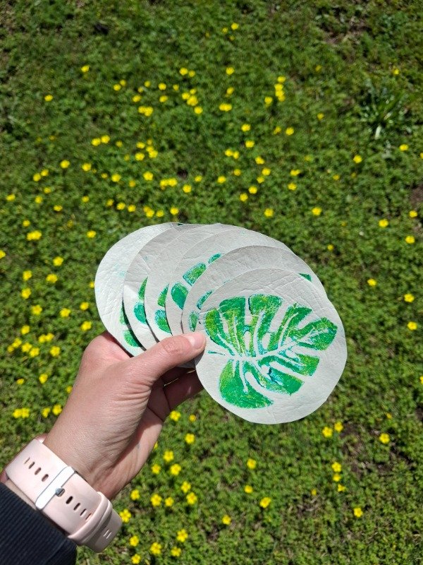 Producto - Posavasos monstera - 1