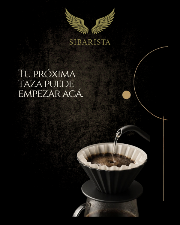 Producto - CURSO FILTRADOS