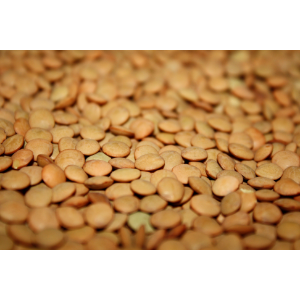 Producto - Lenteja Nacional Agroecológica - 500gr - SALVE LA TIERRA