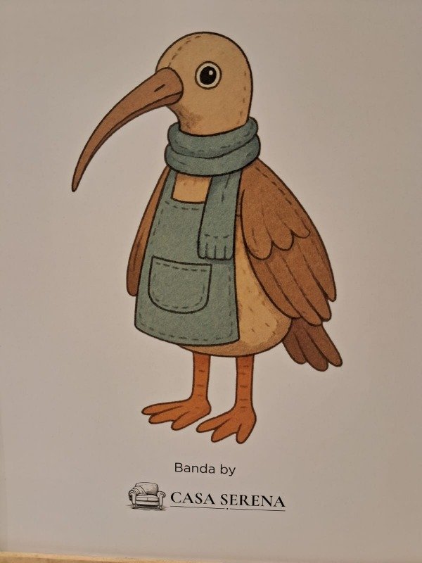 Producto - Cuadritos decorativos Banda la Bandurria Patagonica. - 2