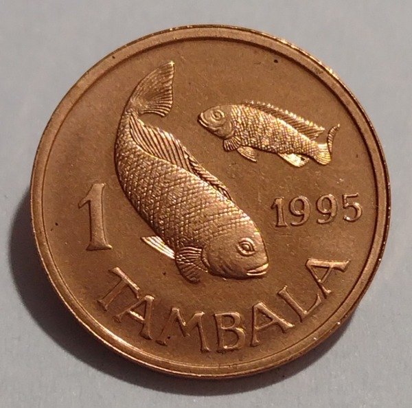 Producto - Malawi 1 tambala 1995 - 0