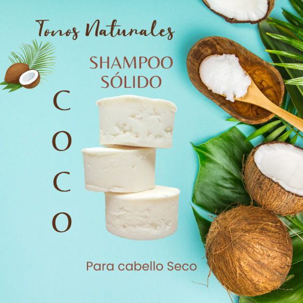 Producto - SHAMPOO SÓLIDO DE COCO