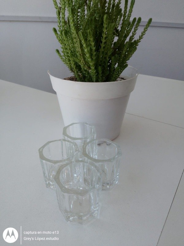 Producto - Vaso dappen
