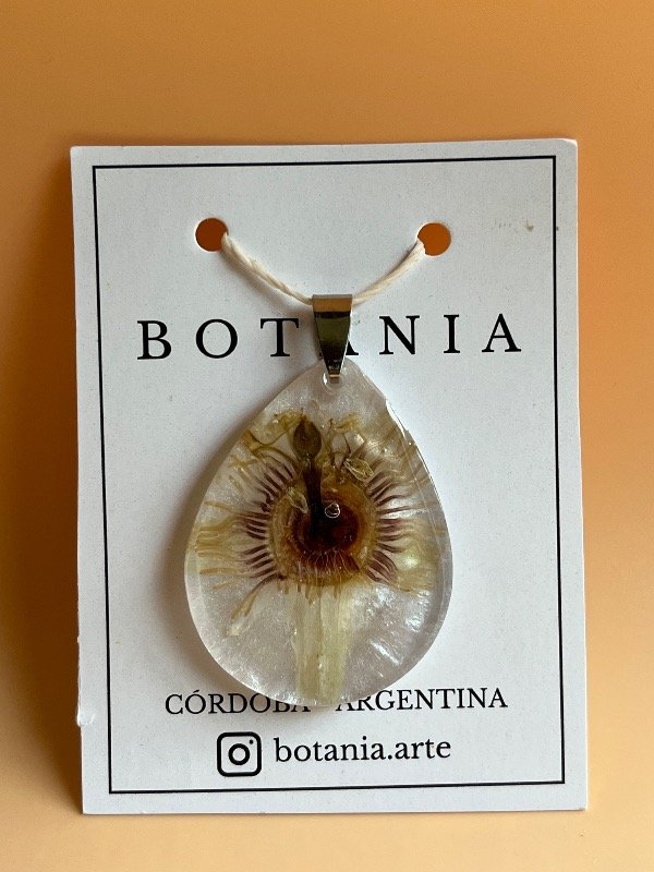 Producto - Pasionaria 1