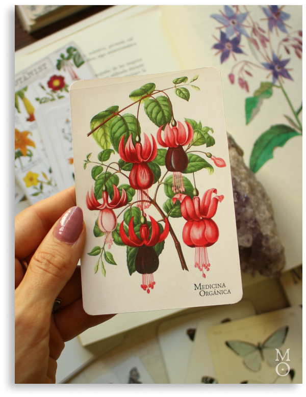 Producto - Imán Botánico - flor