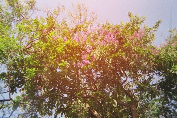 Imagen de producto - 4