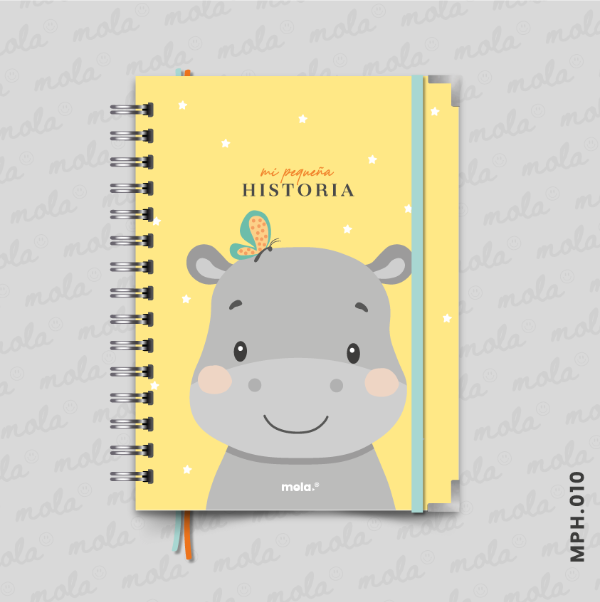 Producto - Libro de Recuerdos - MPH.010