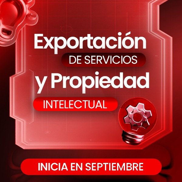 Producto - Exportación de servicios y propiedad intelectual