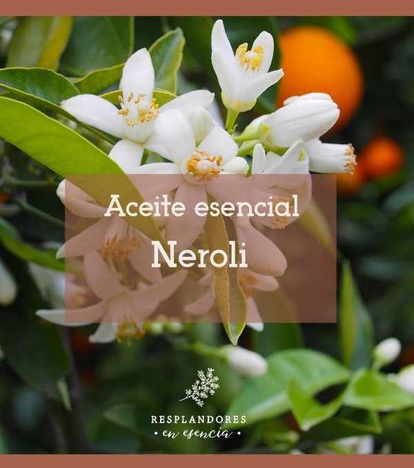 Producto - Ac Esencial Neroli