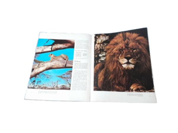 Miniatura de producto - 5