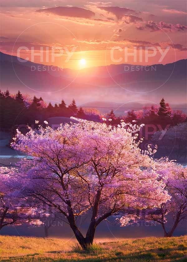 Miniatura de producto - 11