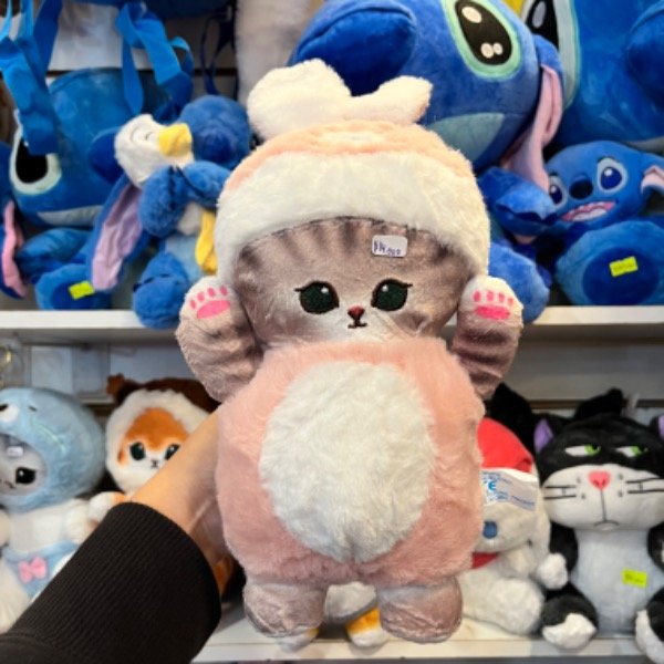 Producto - Gatos x animales