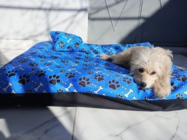 Producto - colchon con funda raza chica