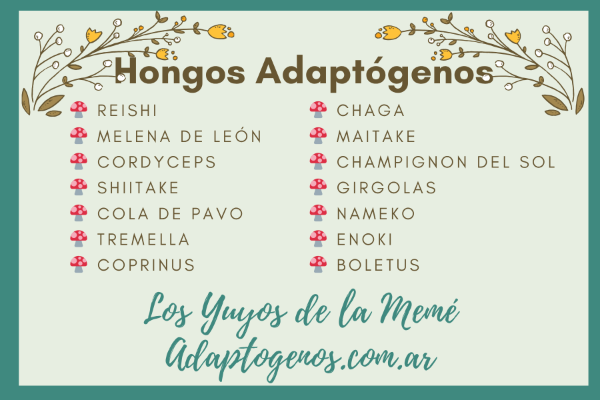 Producto - Hongos Adaptógenos, presentación bolsa DoyPack 30 grs