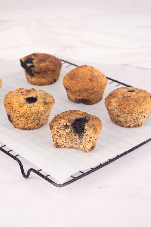 Producto - Muffins de arandanos y limon deslactosado