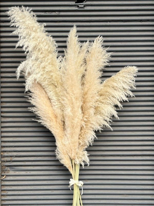 Producto - Ramo de Varas Pampa Grass