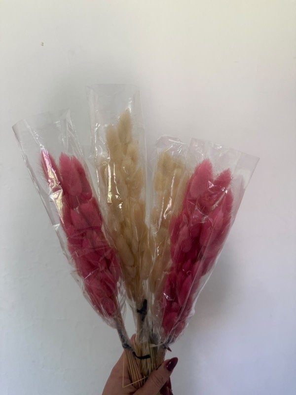 Producto - RAMO VISON - 1