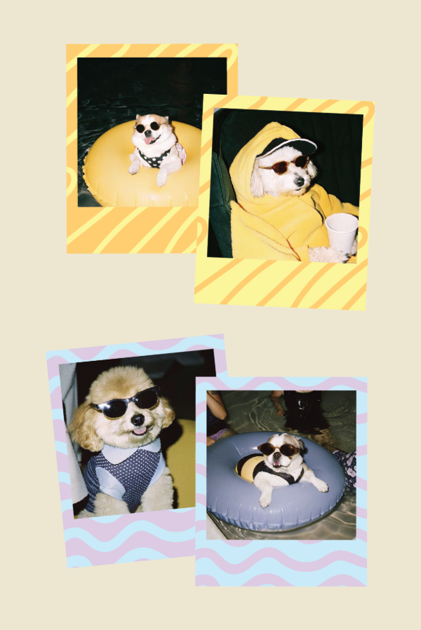 Producto - pack 14 polaroids [buena onda]