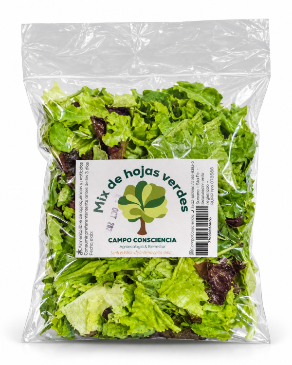 Producto - Ensalada de Mix de Hojas Verdes Agroecológica - Presentación Mediana