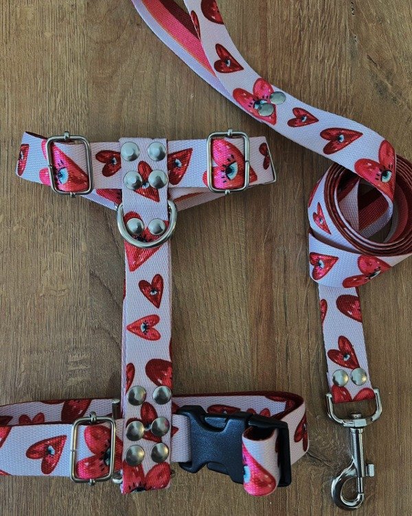 Producto - Pretal y correa LOVE