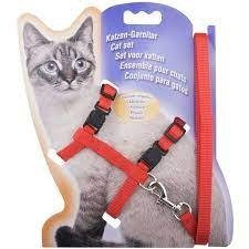 Producto - Conjunto regulable para gatos