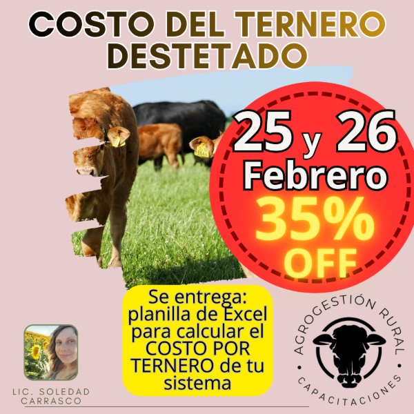 Producto - Taller Online: Costo del Ternero