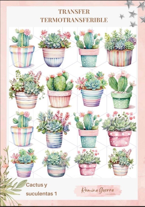 Producto - Transfer termotransfeible - Cactus y Suculentas 1