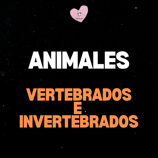 Producto - ANIMALES- VERTEBRADOS E INVERTEBRADOS