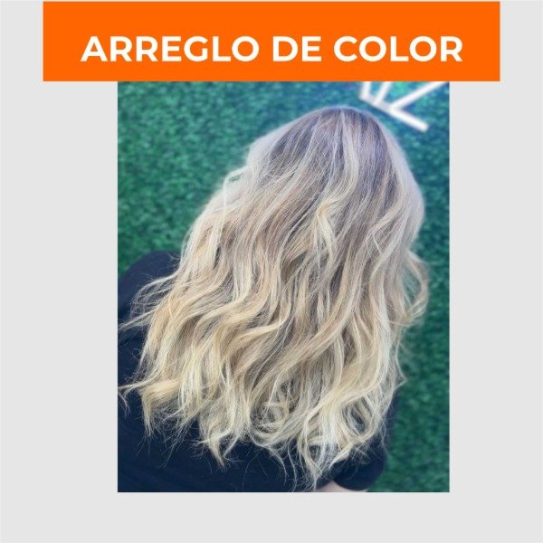 Producto - SEÑA // ARREGLOS DE COLOR