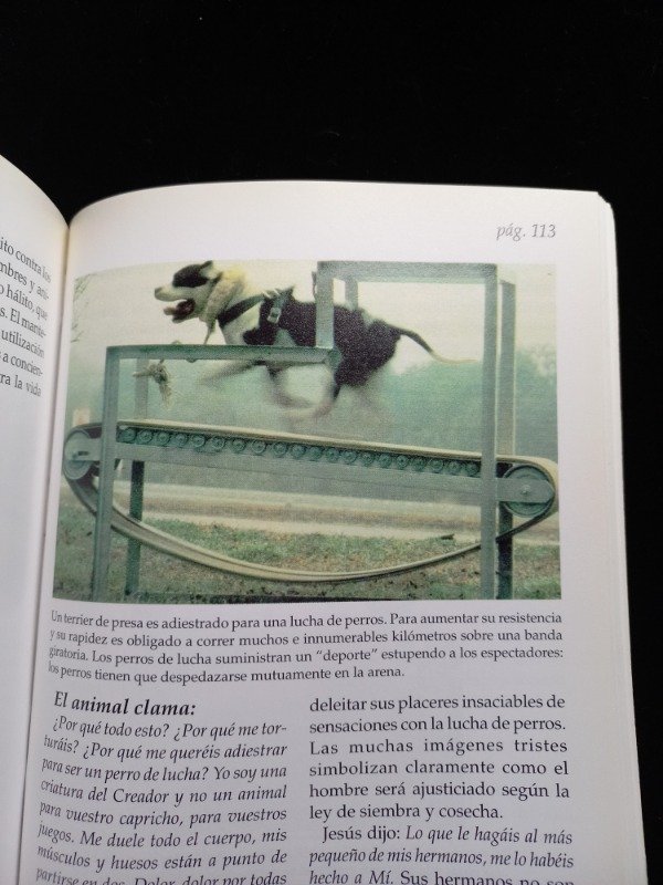 Producto - Los animales claman, el profeta denuncia - derechos animales - 8