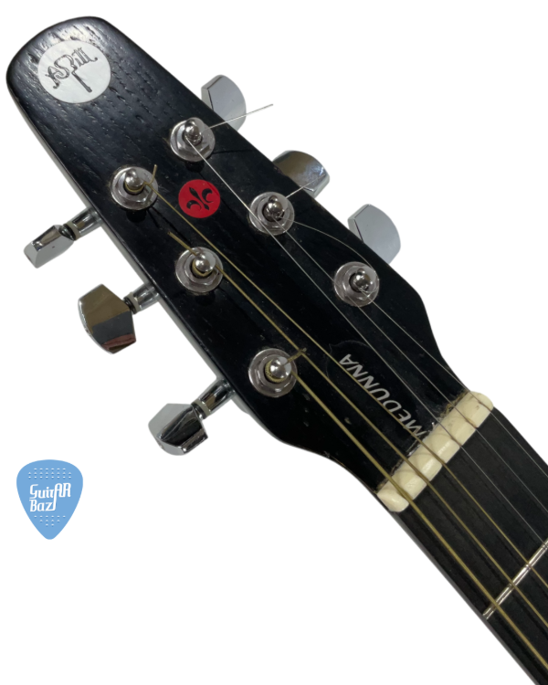 Producto - ASBITT MEDUNNA TIPO GODIN GUITARRA ELECTROACÚSTICA + ESTUCHE / USD449 - 3