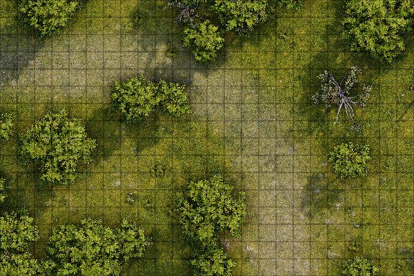 Producto - Camino en el bosque 4 L