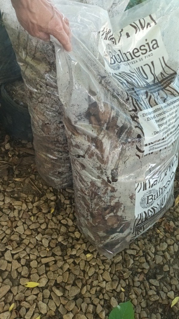 Producto - Cubresuelo Corteza de Pino - 2
