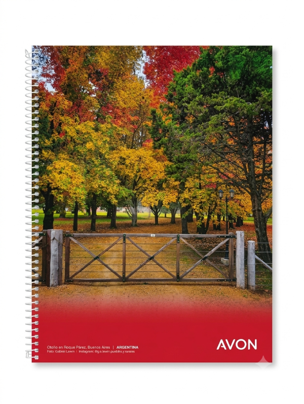 Producto - Cuaderno Avon Rayado/Cuadriculado 84 hojas