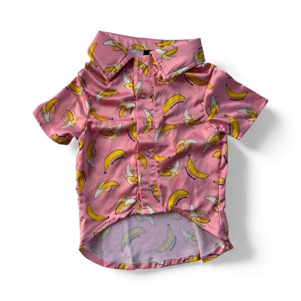 Producto - Camisa de seda rosa dog fashion