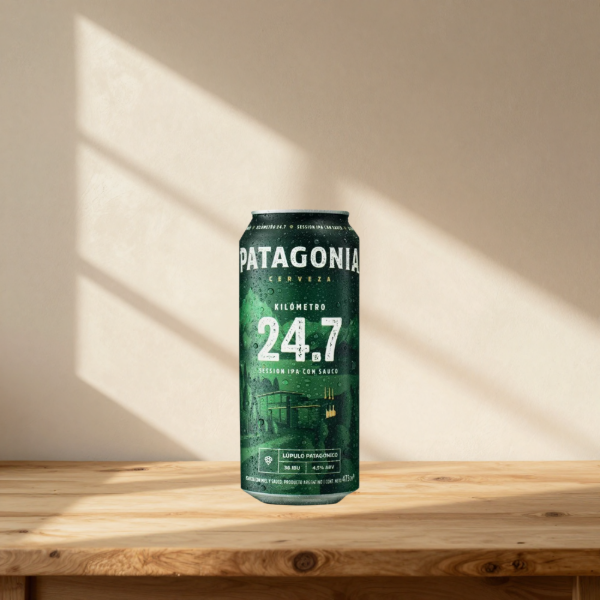 Producto - Patagonia 24.7