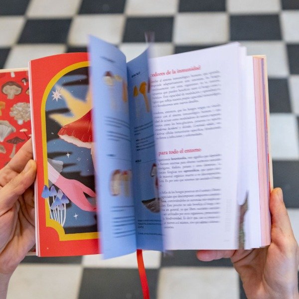 Miniatura de producto - 6