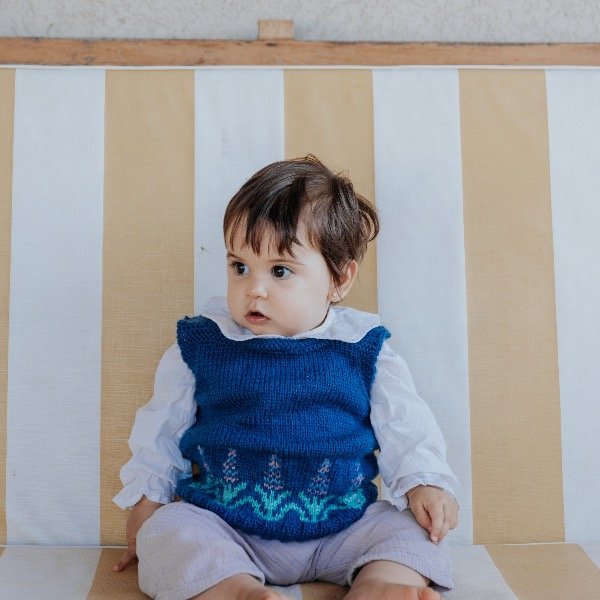 Producto - Chaleco lavandas azul