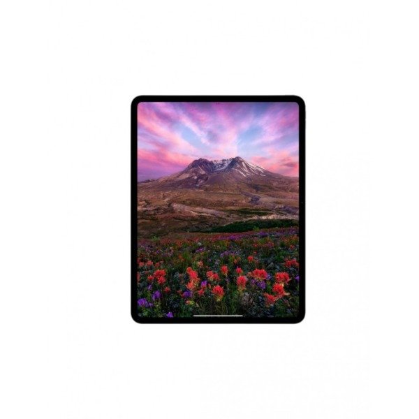 Producto - iPad Pro 11 M4