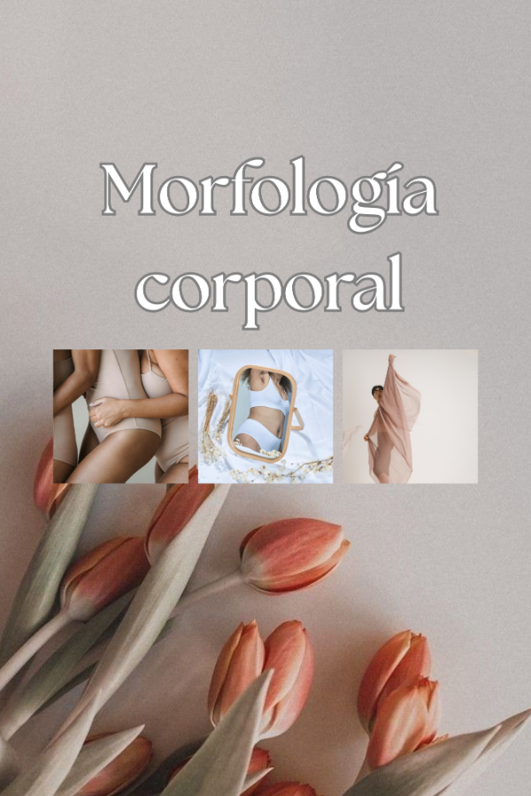 Producto - Morfología corporal