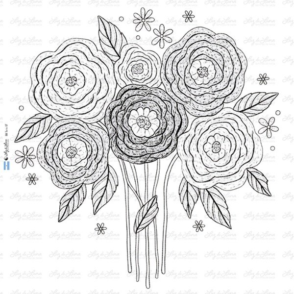 Producto - BM Terra 07