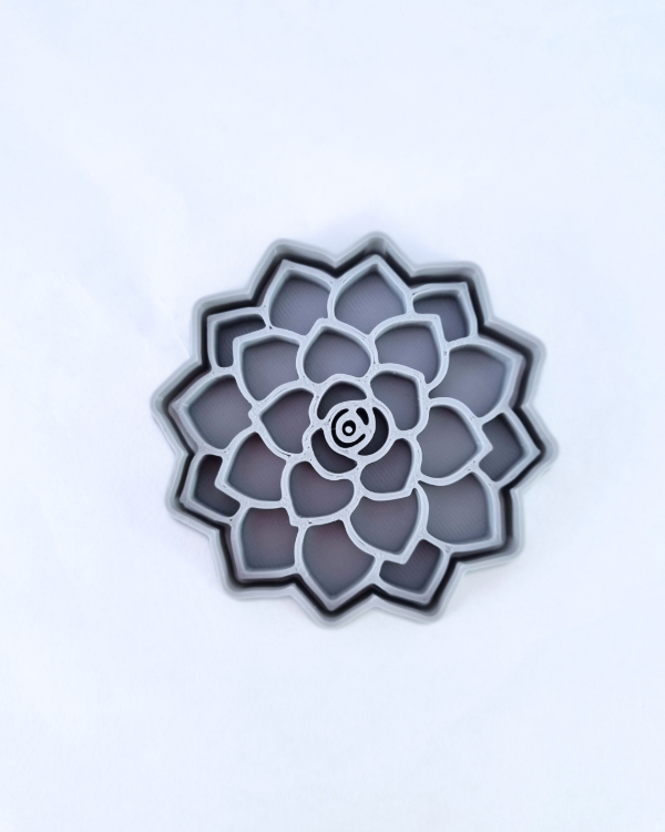 Producto - Suculenta Roseta