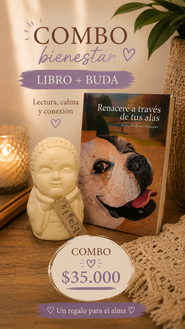 Producto - Combo Libro y BudaDeco