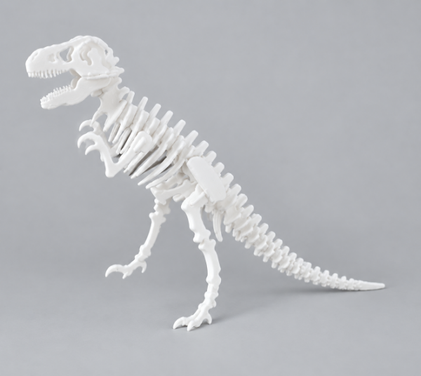 Producto - Rompecabezas de Dinosaurios - 0