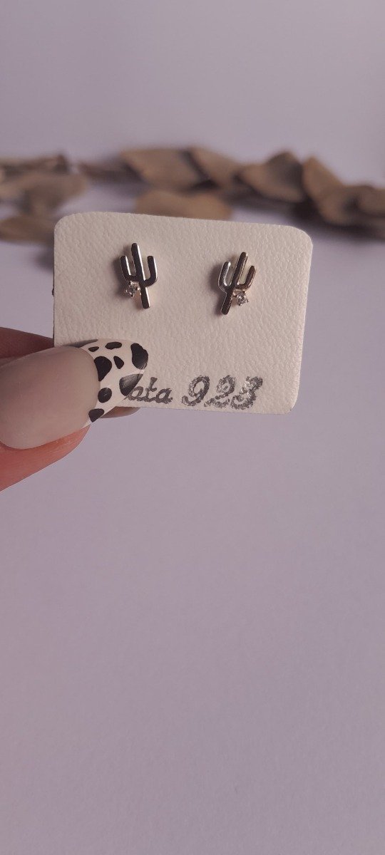 Producto - Aros plata cactus cubic