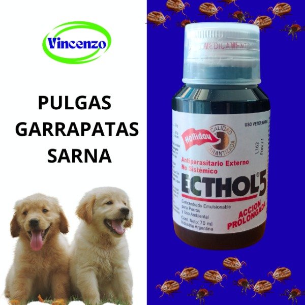 Producto - ECTHOL